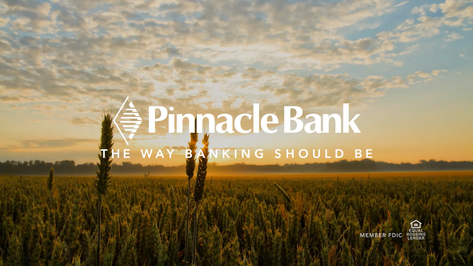 Pinnacle Bank 2024